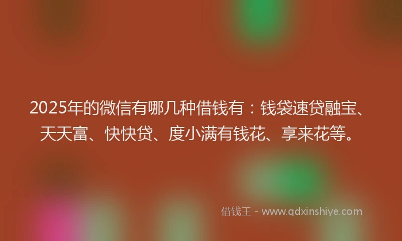 2025年的微信有哪几种借钱有：钱袋速贷融宝、天天富、快快贷、度小满有钱花、享来花等。