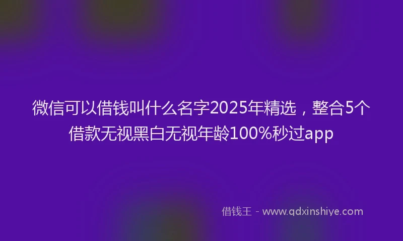 微信可以借钱叫什么名字2025年精选，整合5个借款无视黑白无视年龄100%秒过app