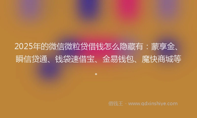 2025年的微信微粒贷借钱怎么隐藏有：蒙享金、瞬信贷通、钱袋速借宝、金易钱包、魔快商城等。