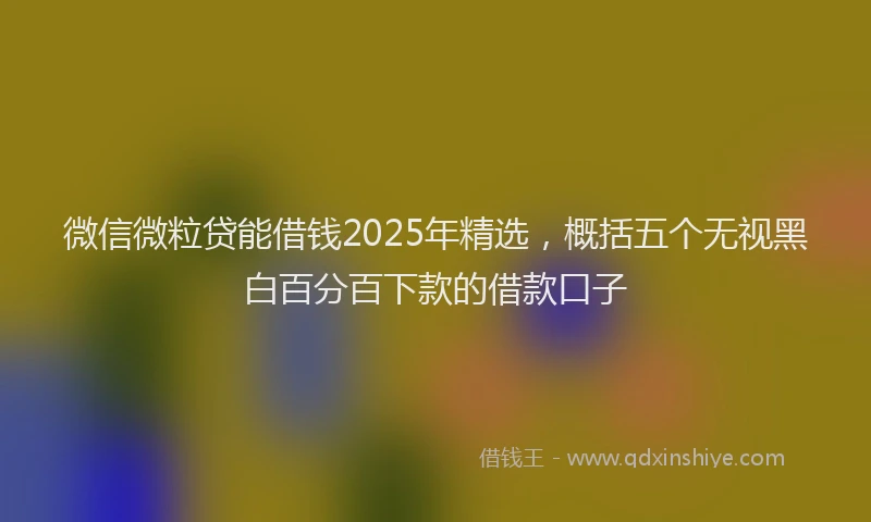 微信微粒贷能借钱2025年精选，概括五个无视黑白百分百下款的借款口子