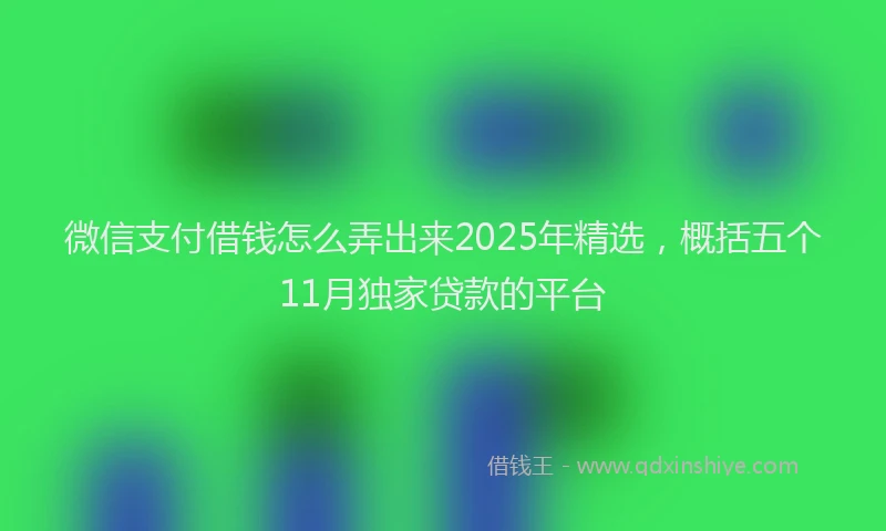 微信支付借钱怎么弄出来2025年精选，概括五个11月独家贷款的平台