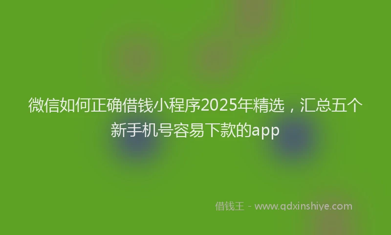微信如何正确借钱小程序2025年精选，汇总五个新手机号容易下款的app