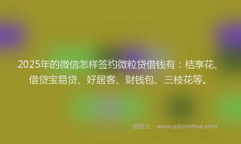 2025年的微信怎样签约微粒贷借钱有：桔享花、借贷宝易贷、好居客、财钱包、三枝花等。
