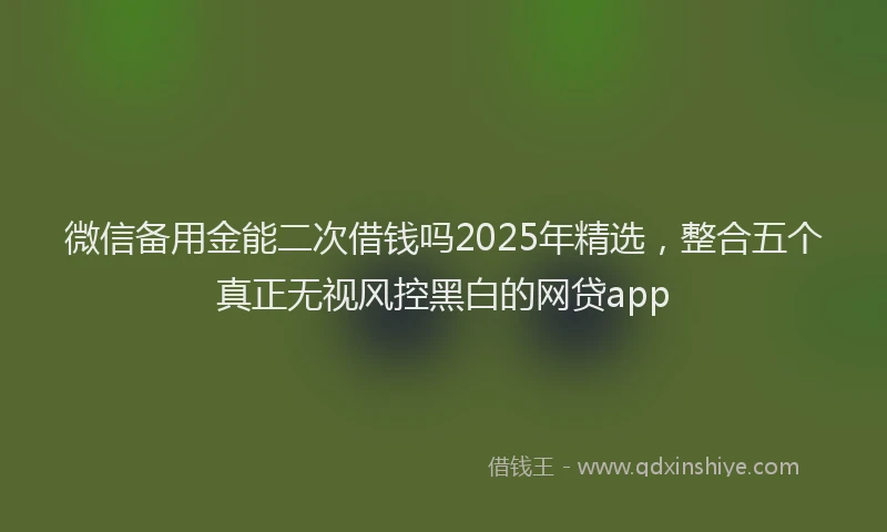 微信备用金能二次借钱吗2025年精选，整合五个真正无视风控黑白的网贷app