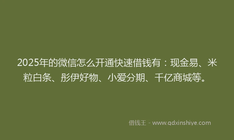 2025年的微信怎么开通快速借钱有：现金易、米粒白条、彤伊好物、小爱分期、千亿商城等。