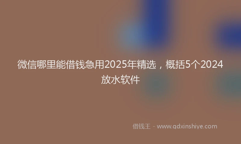 微信哪里能借钱急用2025年精选，概括5个2024放水软件