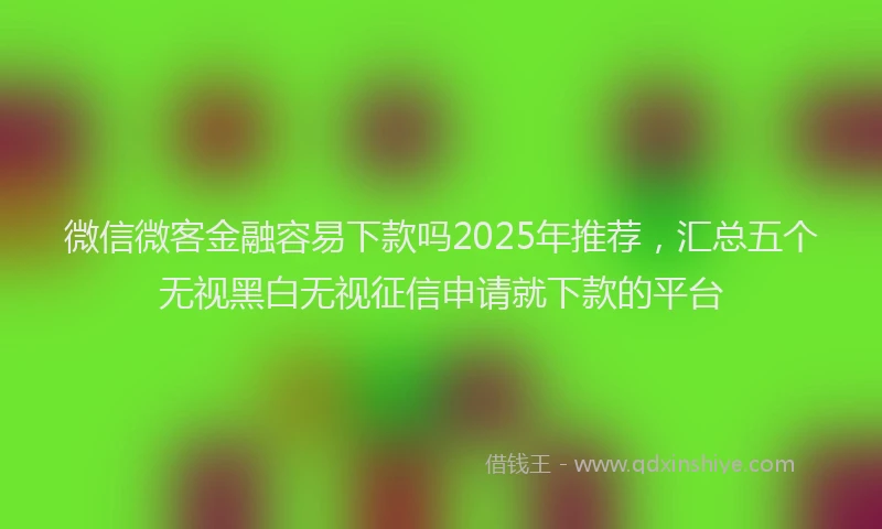 微信微客金融容易下款吗2025年推荐，汇总五个无视黑白无视征信申请就下款的平台