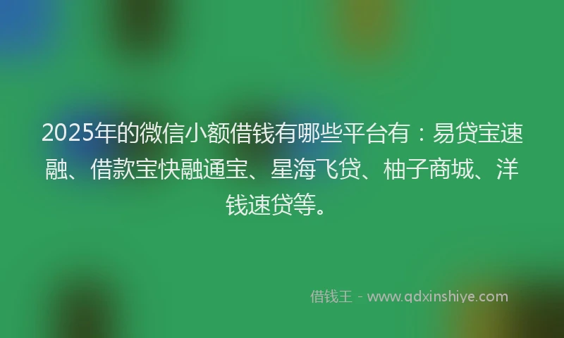 2025年的微信小额借钱有哪些平台有：易贷宝速融、借款宝快融通宝、星海飞贷、柚子商城、洋钱速贷等。