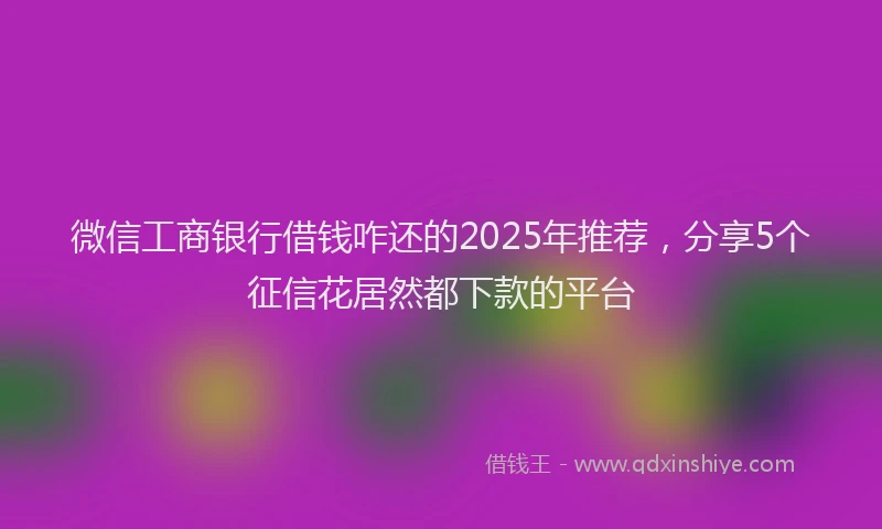 微信工商银行借钱咋还的2025年推荐，分享5个征信花居然都下款的平台