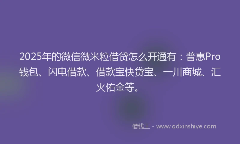 2025年的微信微米粒借贷怎么开通有：普惠Pro钱包、闪电借款、借款宝快贷宝、一川商城、汇火佑金等。