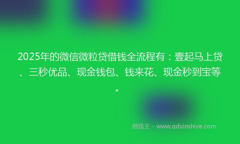 2025年的微信微粒贷借钱全流程有：壹起马上贷、三秒优品、现金钱包、钱来花、现金秒到宝等。