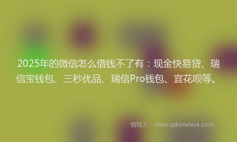 2025年的微信怎么借钱不了有：现金快易贷、瑞信宝钱包、三秒优品、瑞信Pro钱包、宜花呗等。