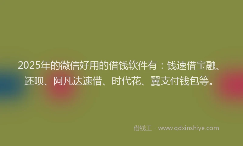 2025年的微信好用的借钱软件有：钱速借宝融、还呗、阿凡达速借、时代花、翼支付钱包等。
