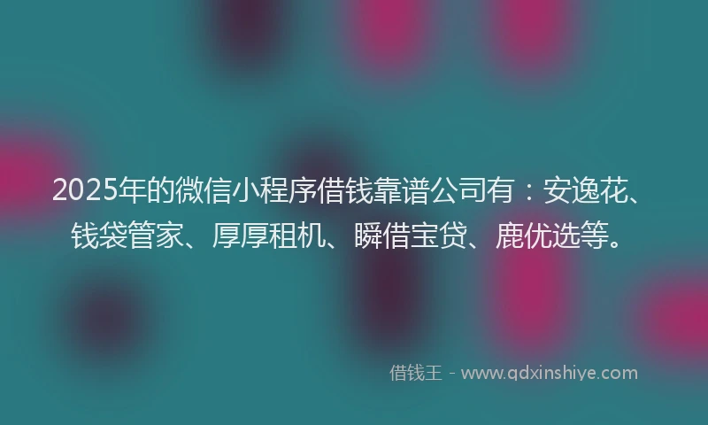 2025年的微信小程序借钱靠谱公司有：安逸花、钱袋管家、厚厚租机、瞬借宝贷、鹿优选等。