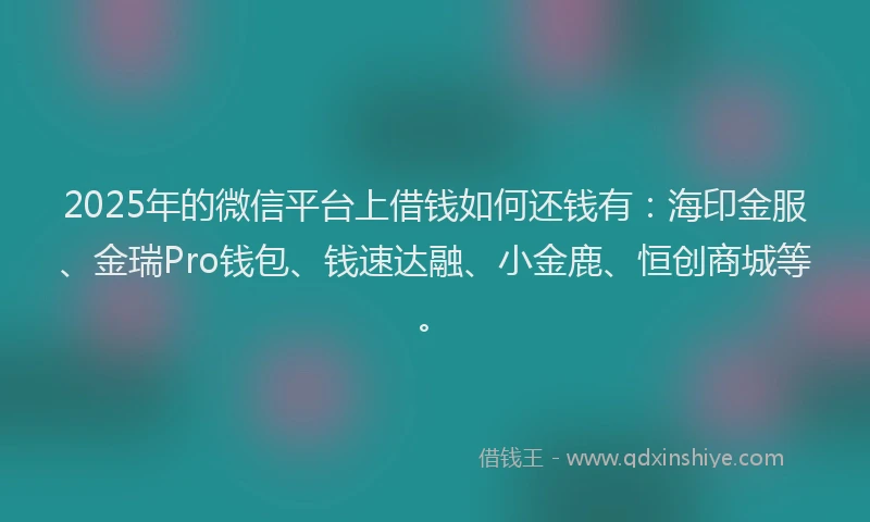 2025年的微信平台上借钱如何还钱有：海印金服、金瑞Pro钱包、钱速达融、小金鹿、恒创商城等。