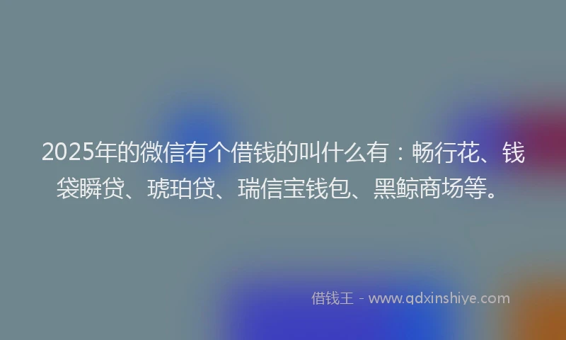2025年的微信有个借钱的叫什么有：畅行花、钱袋瞬贷、琥珀贷、瑞信宝钱包、黑鲸商场等。