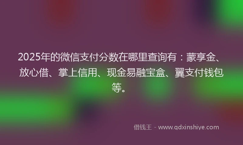 2025年的微信支付分数在哪里查询有：蒙享金、放心借、掌上信用、现金易融宝盒、翼支付钱包等。