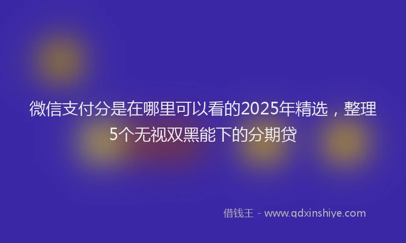 微信支付分是在哪里可以看的2025年精选，整理5个无视双黑能下的分期贷