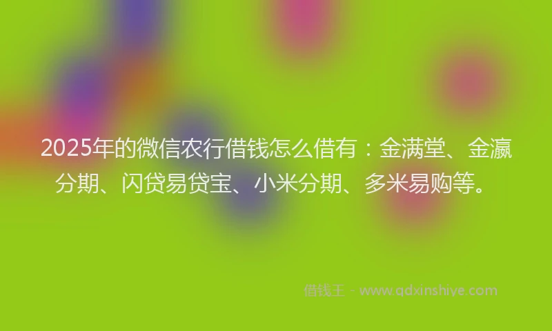 2025年的微信农行借钱怎么借有：金满堂、金瀛分期、闪贷易贷宝、小米分期、多米易购等。