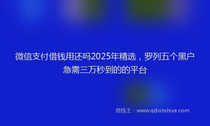 微信支付借钱用还吗2025年精选，罗列五个黑户急需三万秒到的的平台
