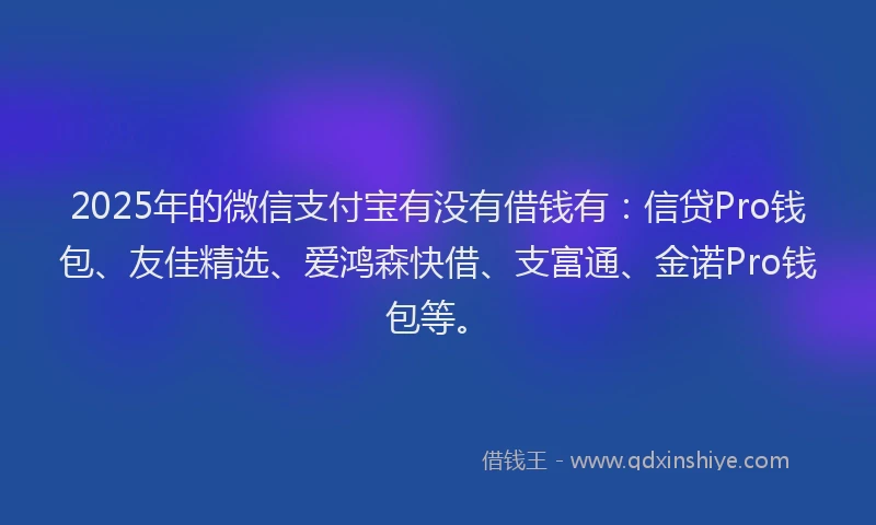 2025年的微信支付宝有没有借钱有：信贷Pro钱包、友佳精选、爱鸿森快借、支富通、金诺Pro钱包等。