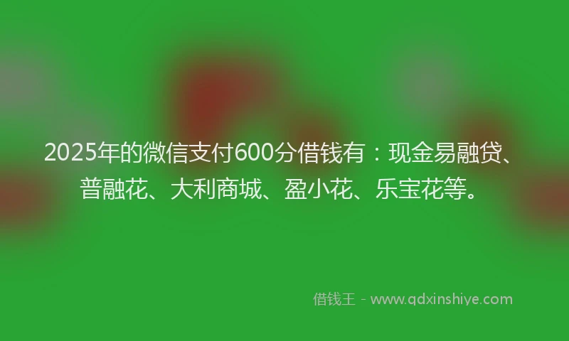 2025年的微信支付600分借钱有：现金易融贷、普融花、大利商城、盈小花、乐宝花等。