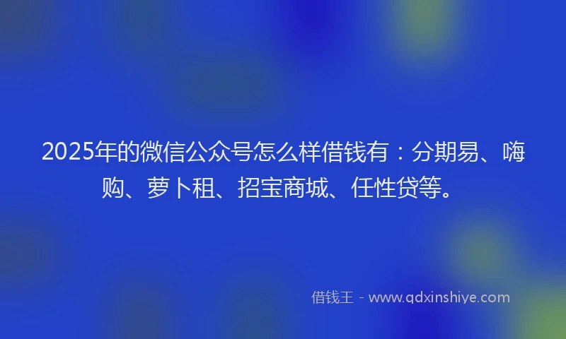 2025年的微信公众号怎么样借钱有：分期易、嗨购、萝卜租、招宝商城、任性贷等。