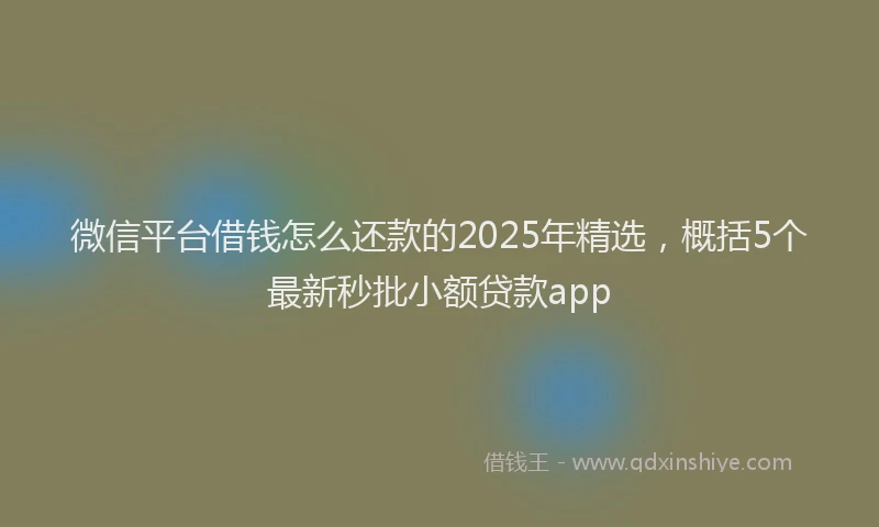 微信平台借钱怎么还款的2025年精选，概括5个最新秒批小额贷款app