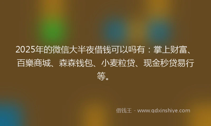 2025年的微信大半夜借钱可以吗有：掌上财富、百樂商城、森森钱包、小麦粒贷、现金秒贷易行等。