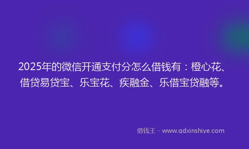 2025年的微信开通支付分怎么借钱有：橙心花、借贷易贷宝、乐宝花、疾融金、乐借宝贷融等。
