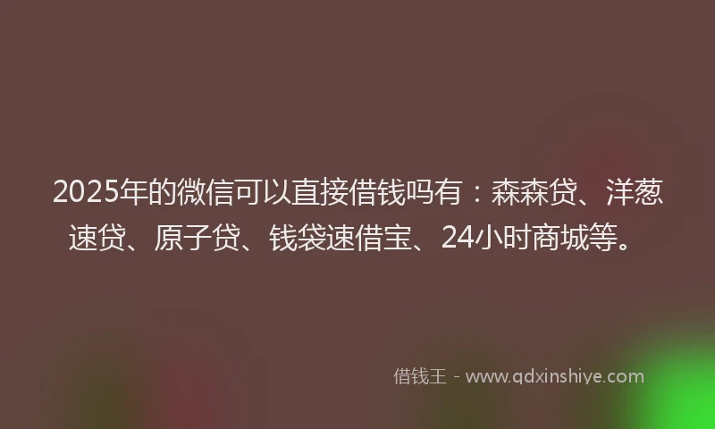 2025年的微信可以直接借钱吗有：森森贷、洋葱速贷、原子贷、钱袋速借宝、24小时商城等。