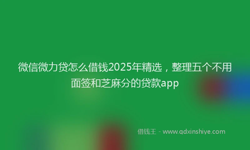 微信微力贷怎么借钱2025年精选，整理五个不用面签和芝麻分的贷款app