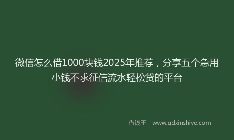 微信怎么借1000块钱2025年推荐，分享五个急用小钱不求征信流水轻松贷的平台