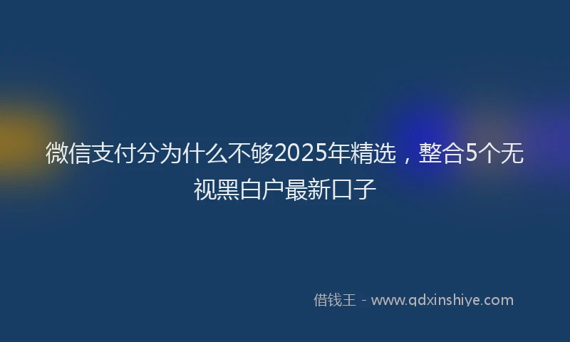 微信支付分为什么不够2025年精选，整合5个无视黑白户最新口子