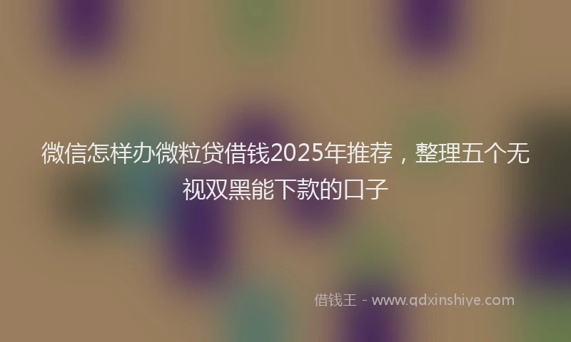 微信怎样办微粒贷借钱2025年推荐，整理五个无视双黑能下款的口子