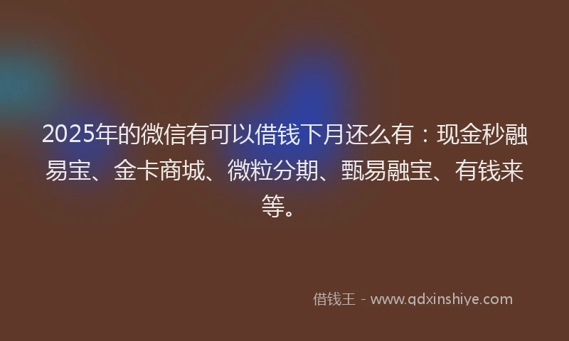 2025年的微信有可以借钱下月还么有：现金秒融易宝、金卡商城、微粒分期、甄易融宝、有钱来等。