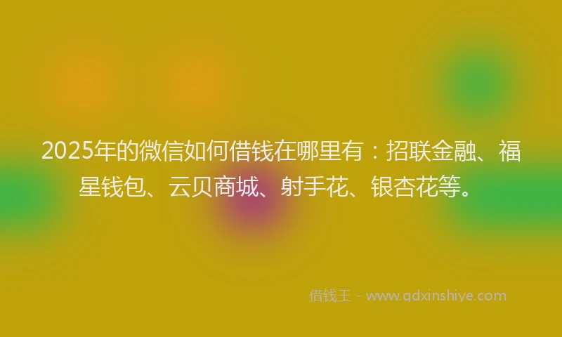 2025年的微信如何借钱在哪里有：招联金融、福星钱包、云贝商城、射手花、银杏花等。