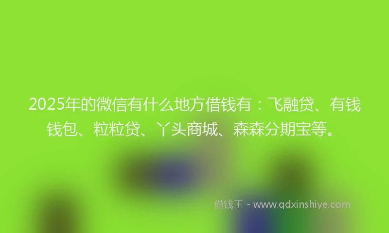 2025年的微信有什么地方借钱有：飞融贷、有钱钱包、粒粒贷、丫头商城、森森分期宝等。