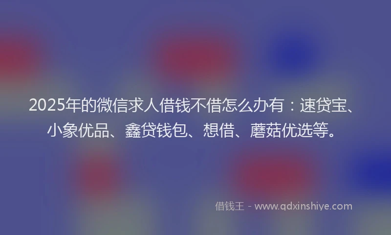 2025年的微信求人借钱不借怎么办有：速贷宝、小象优品、鑫贷钱包、想借、蘑菇优选等。