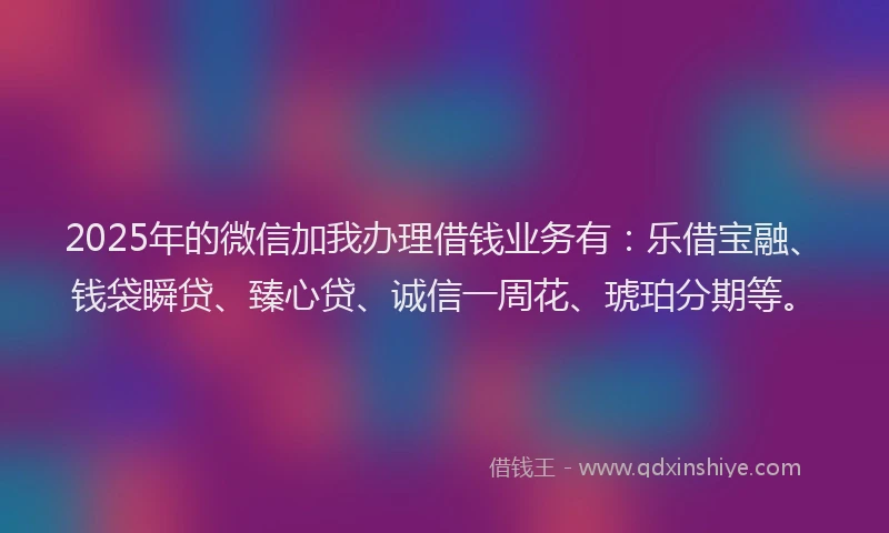 2025年的微信加我办理借钱业务有：乐借宝融、钱袋瞬贷、臻心贷、诚信一周花、琥珀分期等。