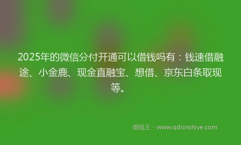 2025年的微信分付开通可以借钱吗有：钱速借融途、小金鹿、现金直融宝、想借、京东白条取现等。
