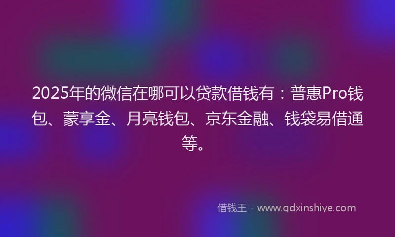 2025年的微信在哪可以贷款借钱有：普惠Pro钱包、蒙享金、月亮钱包、京东金融、钱袋易借通等。