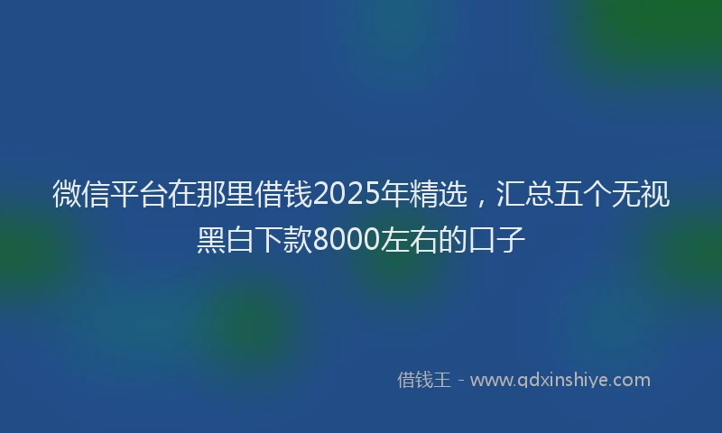 微信平台在那里借钱2025年精选，汇总五个无视黑白下款8000左右的口子