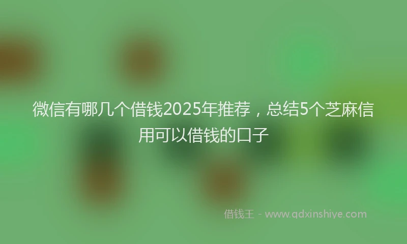 微信有哪几个借钱2025年推荐，总结5个芝麻信用可以借钱的口子