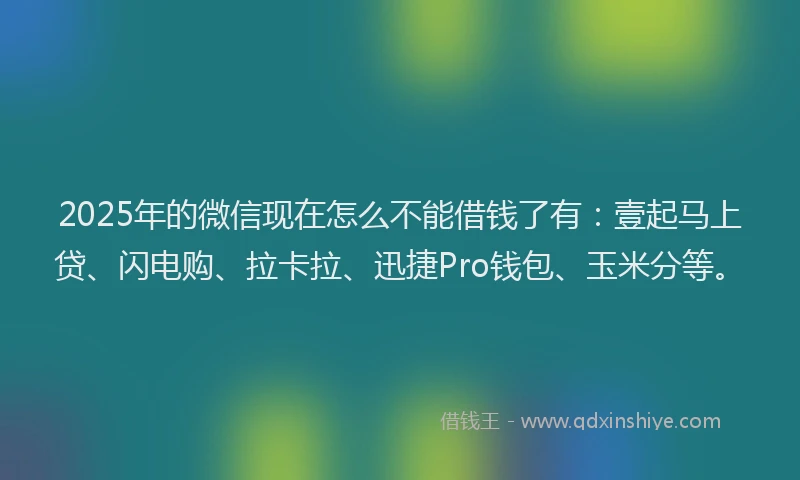 2025年的微信现在怎么不能借钱了有：壹起马上贷、闪电购、拉卡拉、迅捷Pro钱包、玉米分等。