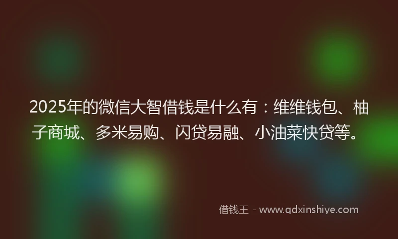 2025年的微信大智借钱是什么有：维维钱包、柚子商城、多米易购、闪贷易融、小油菜快贷等。