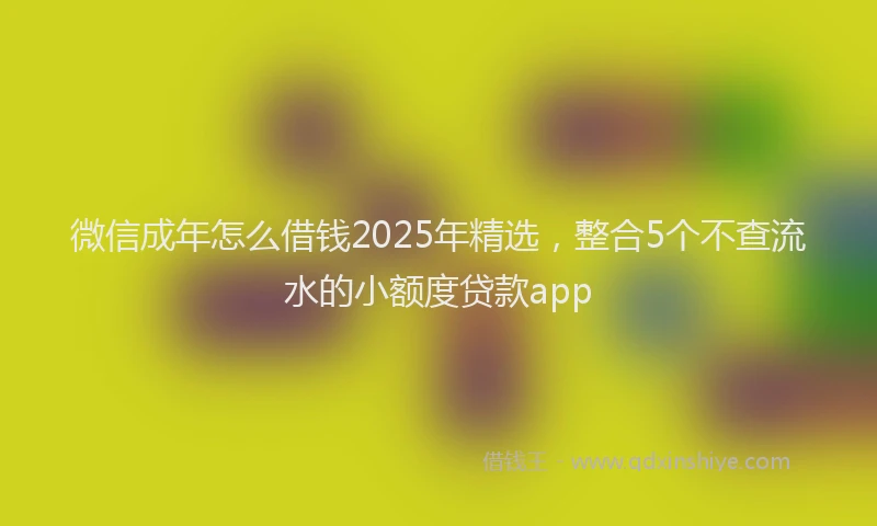 微信成年怎么借钱2025年精选，整合5个不查流水的小额度贷款app