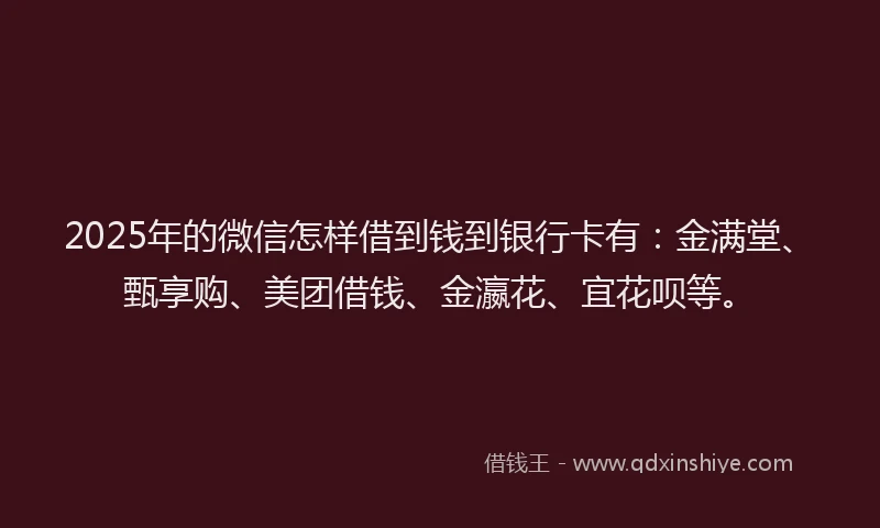 2025年的微信怎样借到钱到银行卡有：金满堂、甄享购、美团借钱、金瀛花、宜花呗等。