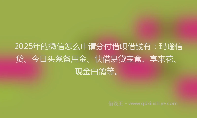2025年的微信怎么申请分付借呗借钱有：玛瑙信贷、今日头条备用金、快借易贷宝盒、享来花、现金白鸽等。
