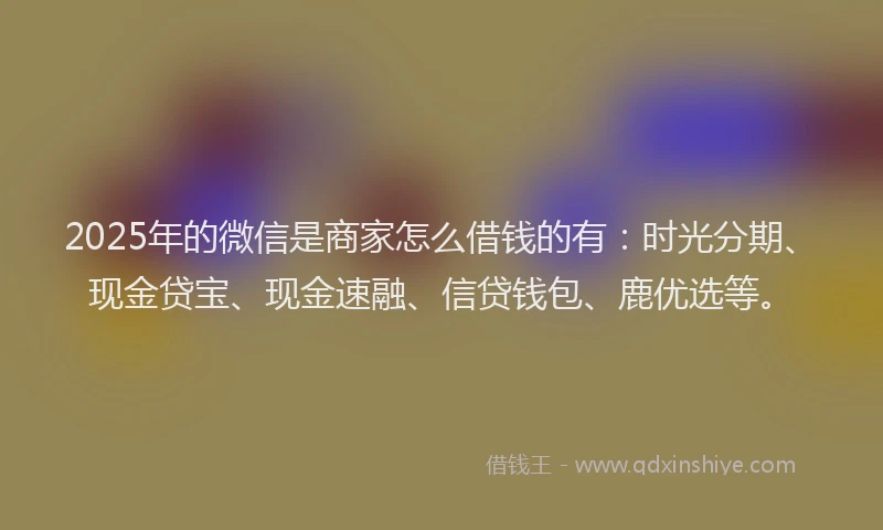 2025年的微信是商家怎么借钱的有：时光分期、现金贷宝、现金速融、信贷钱包、鹿优选等。
